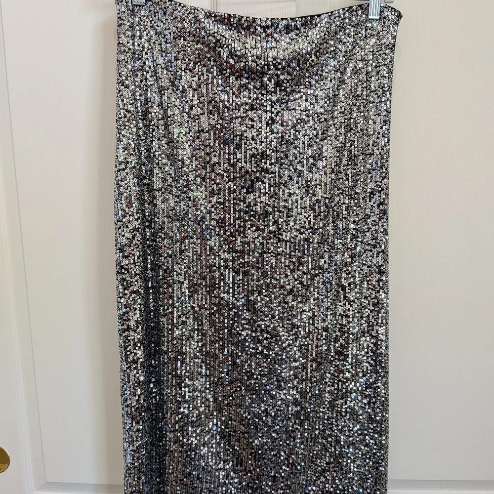 Z Supply Shimmering Silver Sequin Pencil Skirt